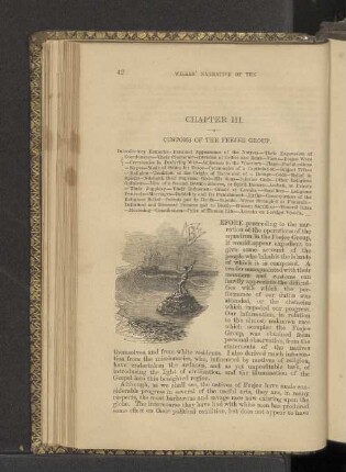 Chapter III. Customs of the Feejee Group.