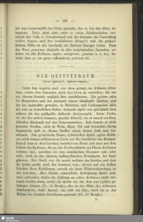 Der Quittenbaum