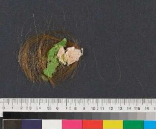 Einlage: Haar. Dunkelblonde Haarlocke mit grünem und rosafarbenen Seidenband