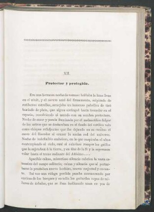 XII. - Protector y protegido.