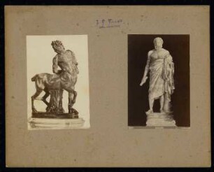 Kapitolinische Museen, Rom: Palazzo Nuovo (Sala del Gallo morente), Zentaur und Kapitolinischer Kyniker