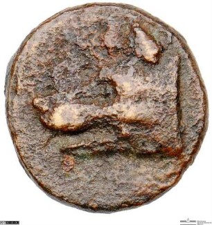 Argos