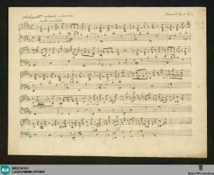 Allegretto sostenuto e amorosa - Don Mus.Ms. 2455 : pf; B