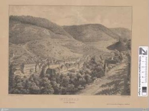 Wildbad von der Ostseite