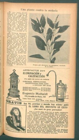 Una planta contra la malaria