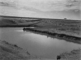 Wasserloch : Wasserloch inmitten der tansanischen Savanne