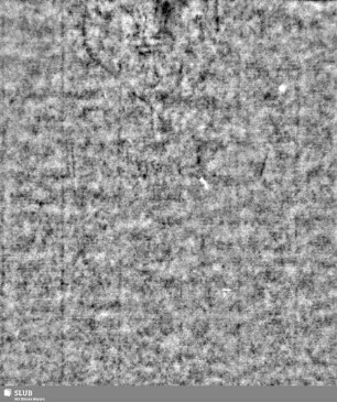 Lilienschild + IESV / LW = S.3/4