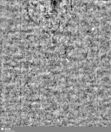 Lilienschild + IESV / LW = S.3/4