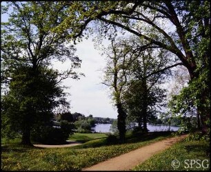 Potsdam, Park Babelsberg, Parkansicht, Im Hintergrund Glienicke mit der Großen Neugierde.