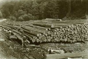 Trebusa, Langholzstapel : Trebusa. Langholzstapel im Tal Bieli, einem Seitental der Theiß. Holzlager der Schneidemühle