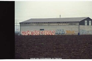 GISMO RAKE RIVAL | MANNHEIM | SAA | RAK | henk | CTK | BASIC