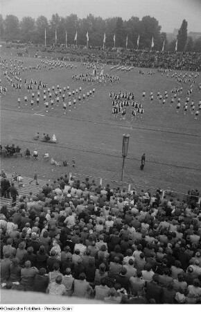 Vorführungen der Sportvereinigungen