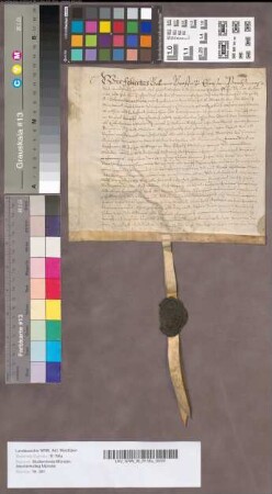 Lehnbrief in betref der Schwarzmans Hove oder Schwarten Erbe [Kirchspiel St. Mauritz vor Münster].