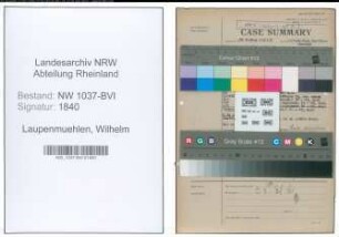 Entnazifizierung Wilhelm Laupenmuehlen , geb. 19.07.1896 (Buchdrucker)