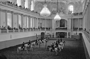 Wien: Spanische Reitschule, Training in der Reithalle