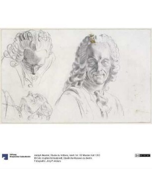 Studie zu Voltaire