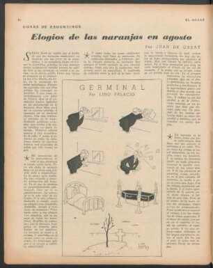 Cosas de argentinos : Elogios de las naranjas en agosto
