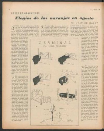 Cosas de argentinos : Elogios de las naranjas en agosto