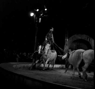 Gastspiel des Zirkus "Krone" in Karlsruhe.