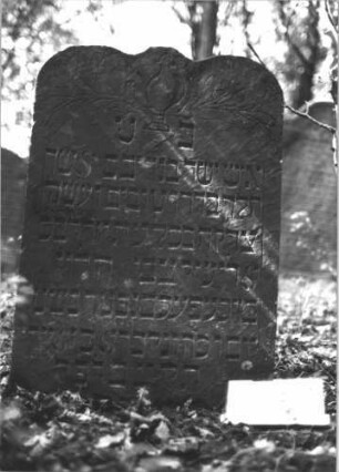 Grabstein 1151 (Index: 99899863) Material: Sandstein Zustand: leicht angewittert, etwas eingesunken Maße HxBxT: 88x59x8 cm Beschreibung: Stele mit Schulterbogenabschluss, im Bogenfeld Levitenkanne und Blumen, etwas eingesunken Symbolik: Levitenkanne, Blumen Besonderheit: Der Stein wurde irrtümlich doppelt fotografiert als Nr. 1151 und 1152; - Die Maße weichen voneinander ab. (110/61/12): Grabstein 1151 (identisch mit Grabstein 1152)