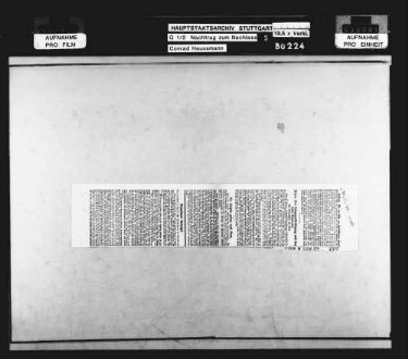 Nationalversammlung, u.a. Beratungen über die neue Reichsverfassung (hauptsächlich Zeitungsausschnitte)