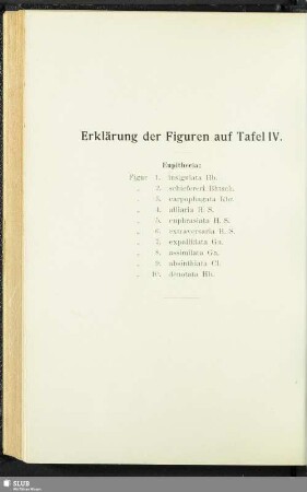 Erklärung der Figuren auf Tafel IV.