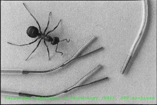 Endoskopische Mikrofasszangen für die Neurochirurgie des Instituts für Mikrostrukturtechnik (IMT)