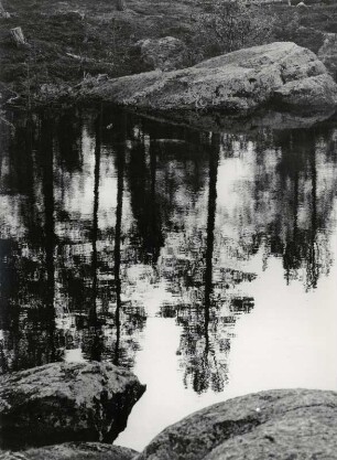 Vermoorter See