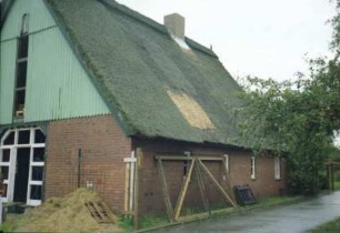 Bauernhaus mit Reetdach: bei Umbau: Giebelseite ehemaliger Wirtschaftstrakt: Scheunentor bei Verglasung, Giebel mit Verbretterung: Traufseite