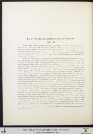 Ueber den Bau des Rückenmarkes der Selachier.