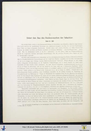 Ueber den Bau des Rückenmarkes der Selachier.