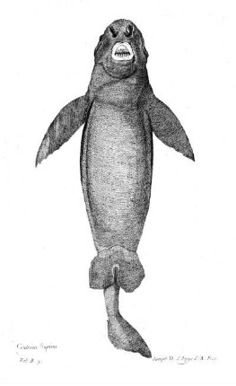 Tab B3