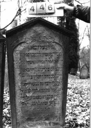 Grabstein 446 (Index: 99752801) Material: Sandstein Zustand: stark abgeblätt. /verwitt. m. Textverlust Maße HxBxT: 133x60x16 cm Beschreibung: Stele, giebelart. Abschl. mit Verdach., Schriftfeld eingetieft m. Kleeblattbogenabsch: Grabstein 446