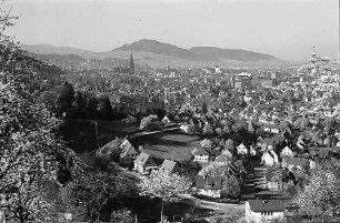 Blick auf Freiburg mit Schönberg durch die Blüten der Eichhalde