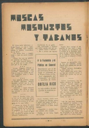 Moscas, mosquitos y tábanos