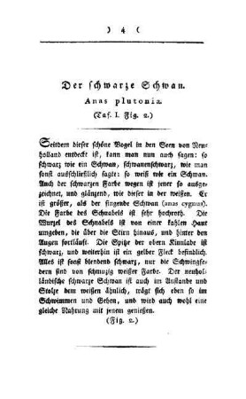 ¬Der¬ schwarze Schwan : Anas plutonia ; (Taf. I, Fig. 2)