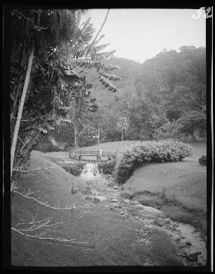Penang (Malaysia): Botanischer Garten mit einer kleinen Fußbrücke über einen Bach im Hintergrund