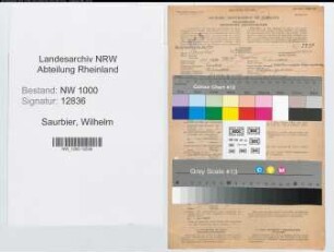 Entnazifizierung Wilhelm Saurbier, geb. 11.10.1901 (Angest.)