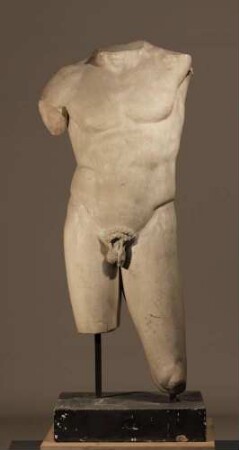 Männlicher Torso