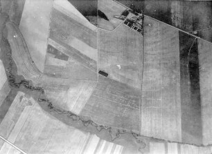 Feldmuster nördlich von Delitzsch