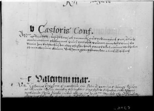 Hagnau Stiftungsurkunde der Familie von Steffelin aus dem Kirchenbuch