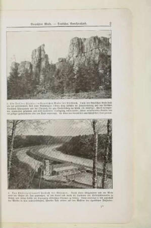 3. Ein Teil des Pfahles im Bayrischen Walde bei Viechtach