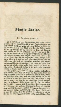 Fünfte Klasse. Die Insekten. (Insecta.)
