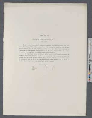 Tafel 26. Mumien in ärmlicher Ausstattung.