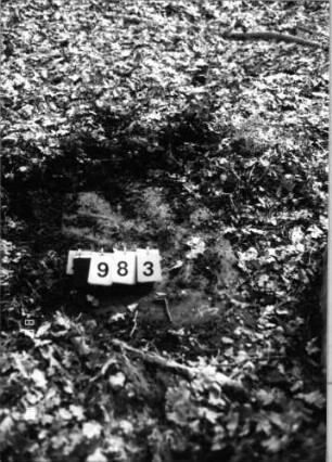 Grabstein 983 (Index: 99902627) Material: Sandstein Zustand: Stein umgestürzt, vollständig verwittert: Grabstein 983