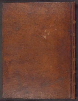 Bibel, Bd. 6: Rt-Iob 18,11 -– Nürnberg, STN, Solg. Ms. 6. 2°