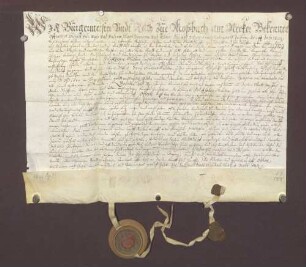 Bürgermeister und Rat zu Mosbach verschreiben sich gegenüber Philipp Albrecht Ried, Handelsmann daselbst, wegen 300 Gulden.