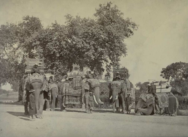 Load-bearing elephants