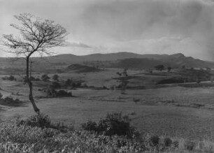 Hochplateau : Blick über ein Hochplateau mit Savannenlandschaft und Sicht auf Hügel im Hintergrund.