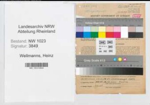 Entnazifizierung Heinz Wellmanns , geb. 04.02.1903 (Rechtsanwalt)